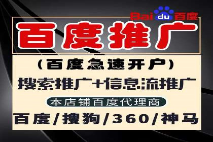 解析sem代运营公司经典案例：如何实现ROI最大化